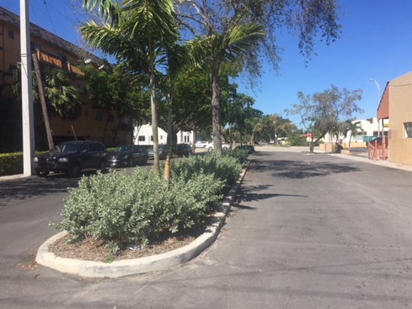 NE 4 Avenue Streetscape Enhancements