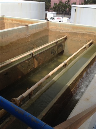 Water Plant Filter Replacement