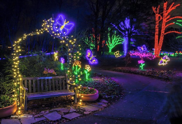 Winter Walk Of Lights At Meadowlark Botanical Gardens Dullesmoms Com