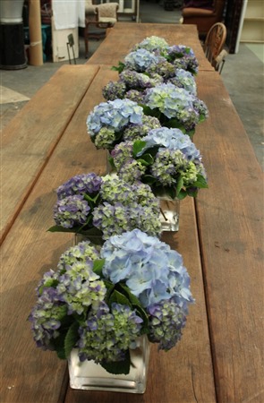 sydney event floral design