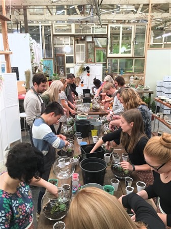Sydney corporate terrarium workshop
