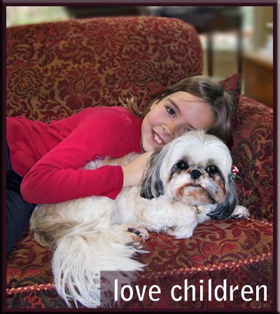 Welcome Official American Shih Tzu Club Website Official American Shih Tzu Club Website