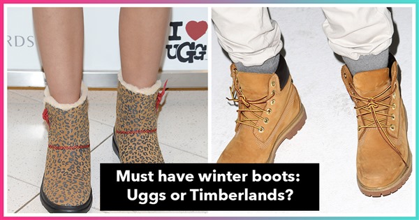 uggs that look like timberlands